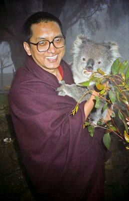 Lama Zopa Rinpoche with koala in Adelaide, Australia, 1983. Photo: Wendy Finster.