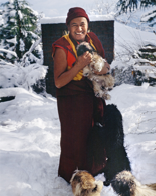 Lama Yeshe with dogs in the snow at Tushita Meditation Centre, Dharamsala, India. Photo: Ricardo de Aratanha.