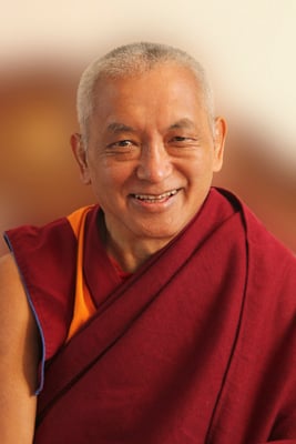 Portrait of Lama Zopa Rinpoche, 2010. Photo: Ven. Roger Kunsang.