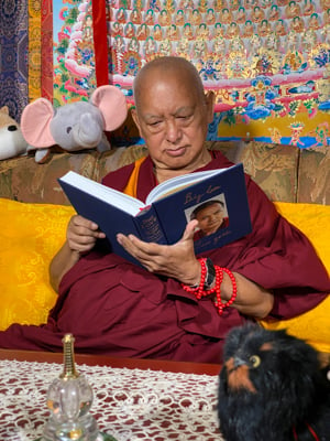 Lama Zopa Rinpoche enjoying his copy of Big Love, Kopan Monastery, Nepal, April 2020. Photo: Ven. Roger Kunsang.