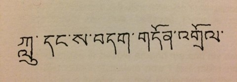 Lama Zopa Rinpoche&#039;s calligraphy: Liberating from the Harm of Nagas and Landlord, Oct. 2021.