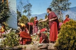 Lama with MEC students, 1979