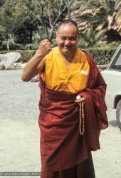 Lama, Zurich, 1978